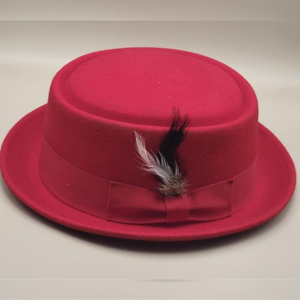 Wool Pork Pie Hat with Feather and Band - Image 6