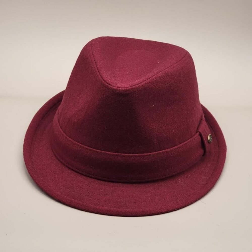 Winter Fedora With Lining - Image 4